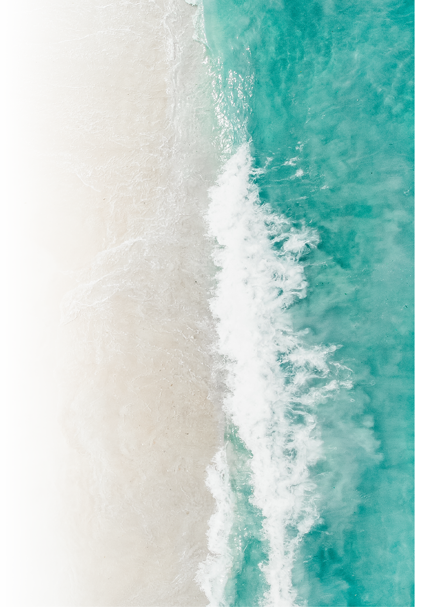 beach with turquoise sea water and palm trees, aerial drone shot, Top view of beautiful white sand