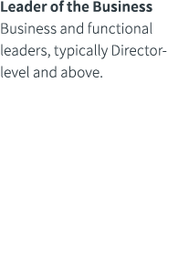 Leader of the Business Business and functional leaders, typically Director level and above.