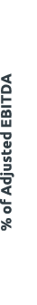 % of Adjusted ebitDa 