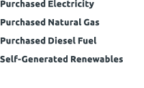 Purchased Electricity Purchased Natural Gas Purchased Diesel Fuel Self Generated Renewables 
